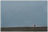 6/islande skatfatell iceberg 98 (Small).jpg